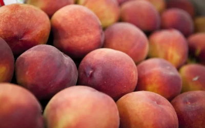 Ni Río Negro ni Entre Ríos: ¿qué lugar celebra la Fiesta del Durazno este finde?