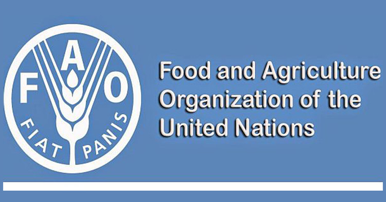 FAO llama a fortalecer la sanidad vegetal y la innovación para garantizar el futuro de la alimentación mundial