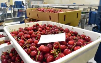 Aseguran que nueva ruta Shanghai–Buenos Aires favorece al comercio internacional