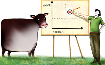 Cómo miden la calidad en una ganadería enfocada en el valor