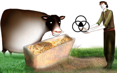 Gestión de alimentos, trazabilidad y costos, todo en uno