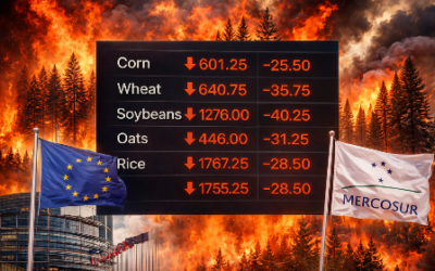 Mercosur-UE en la gatera…