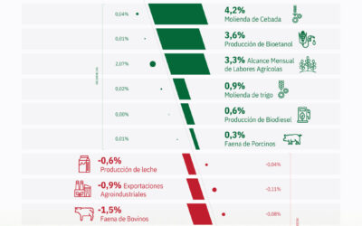 La actividad de la cadena agropecuaria alcanzó un máximo histórico en diciembre