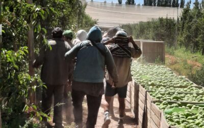El RENATRE acualiza los montos de la montos de la Prestación por Desempleo