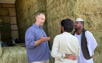 Misión comercial para posicionar la alfalfa argentina en Medio Oriente