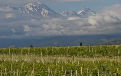 En la ruta del “Mendoza VanLife”: tres propuestas para disfrutar del Valle de Uco