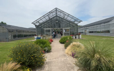 INTA Floricultura: El futuro de la jardinería con plantas nativas y bajo mantenimiento