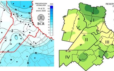 Casi medio millón de hectáreas de soja de primera ya están en condición regular en la región núcleo