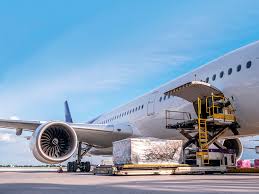 Demostración de la operatoria de exportación de frutas hacia Estados Unidos