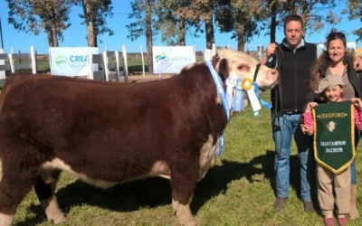 Junto a su familia trabaja un campo de 600 ha en secano y hoy tiene la mejor cabaña Hereford Puro de Pedigrée de la Patagonia
