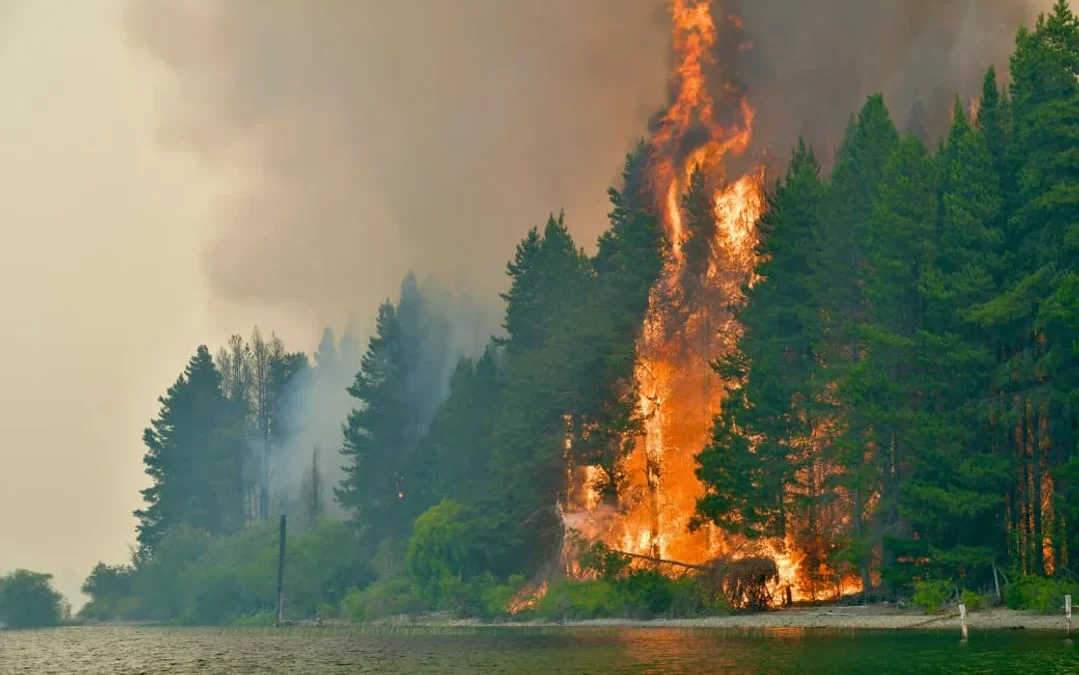 Declaran la emergencia ígnea en cuatro provincias por incendios en la Patagonia