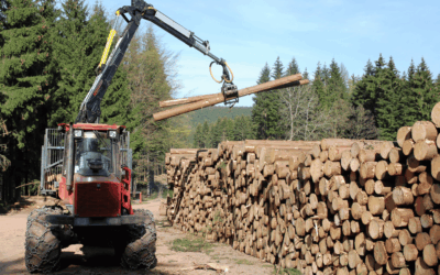 El NEA hacia una agenda de crecimiento: menos impulso público, más competencia real