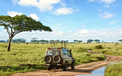 ¿Qué es realmente un viaje organizado con agencia y por qué es la mejor forma de descubrir el mundo?