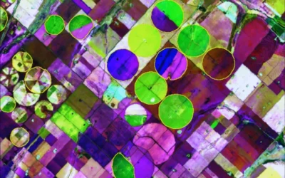 Con inteligencia artificial mejoran el monitoreo del riego en la Argentina