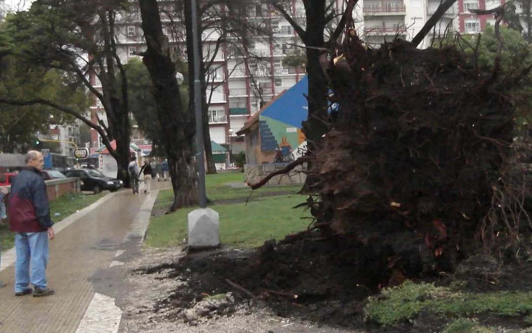 Mar del Plata: un temporal interrumpió la jornada de playa del sábado