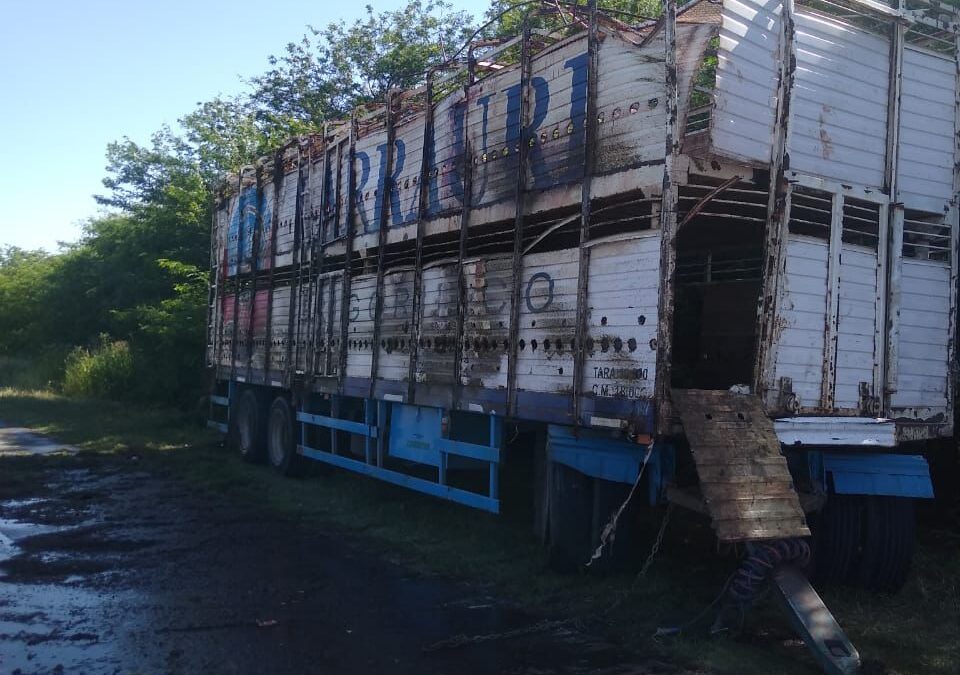 Ganadería: la oportunidad está servida, ahora falta el Estado