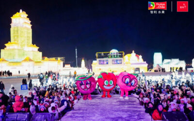 Ice and Snow Festival: la ofensiva con la que las cerezas chilenas buscan mantener su liderazgo en China