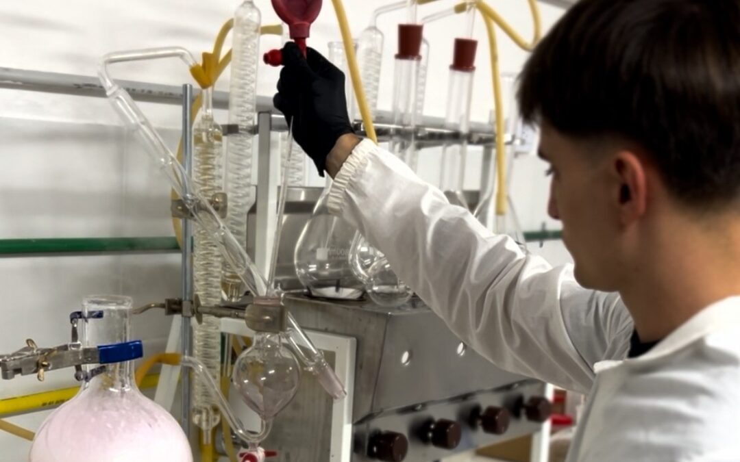 El costo oculto del vino:  Cómo la microbiología evita pérdidas millonarias en las bodegas