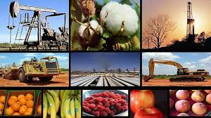 La actividad económica volvió a crecer en noviembre