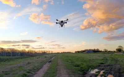 Opinión: en el agro de hoy gana el que más rápido aprende