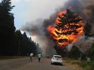 El Banco Nación instrumenta medidas de apoyo para productores damnificados por los incendios en La Pampa y provincias patagónicas