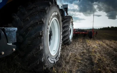 Creernos más vivos que la naturaleza: es el error que está degradando nuestros suelos