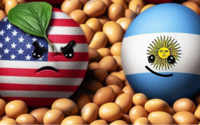 El Mercosur resultó estar “blindado” contra la baja abrupta de los precios de la soja en EE.UU. ¿Qué pasó?