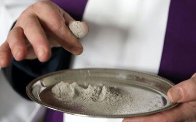 Cuaresma: El Papa propone ayunar de gestos y palabras que hieren a los demás