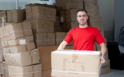 ¿Por qué el nuevo código aduanero puede cambiar el mapa importador argentino?