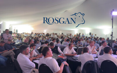 Cifra récord: en marzo, Rosgan vendió 53.666 cabezas