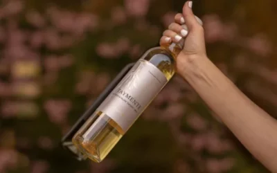 Día Internacional del Riesling: el vino mendocino que fue elegido entre los mejores dulces del mundo