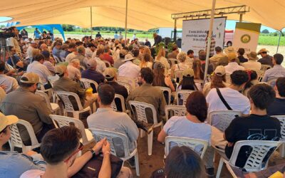 Estrés abiótico, el problema que pocos ven, pero todos sufren