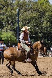 De Nuestros Caballos al Mundial: los Criollos completan su selección para salir a la cancha en Montevideo