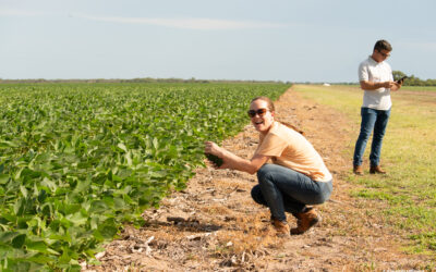 Nestlé® promueve la agricultura regenerativa para transformar la producción de alimentos para mascotas en Argentina