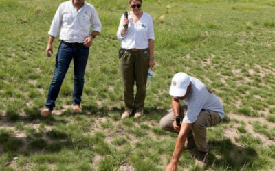 Ganadería regenerativa: impulsan en La Pampa prácticas que mejoran suelos y producción