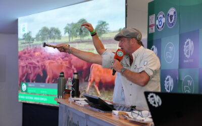 Gran televisado de Colombo y Magliano en Expoagro: 38 mil cabezas vendidas