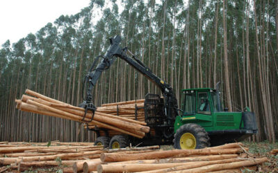 La foresto-industria argentina aumentó 40% sus exportaciones en una década