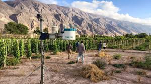 Jujuy fortalece su identidad vitivinícola con una nueva Indicación Geográfica