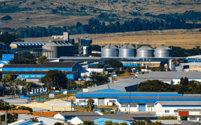 ¿Comienza una etapa de crecimiento?