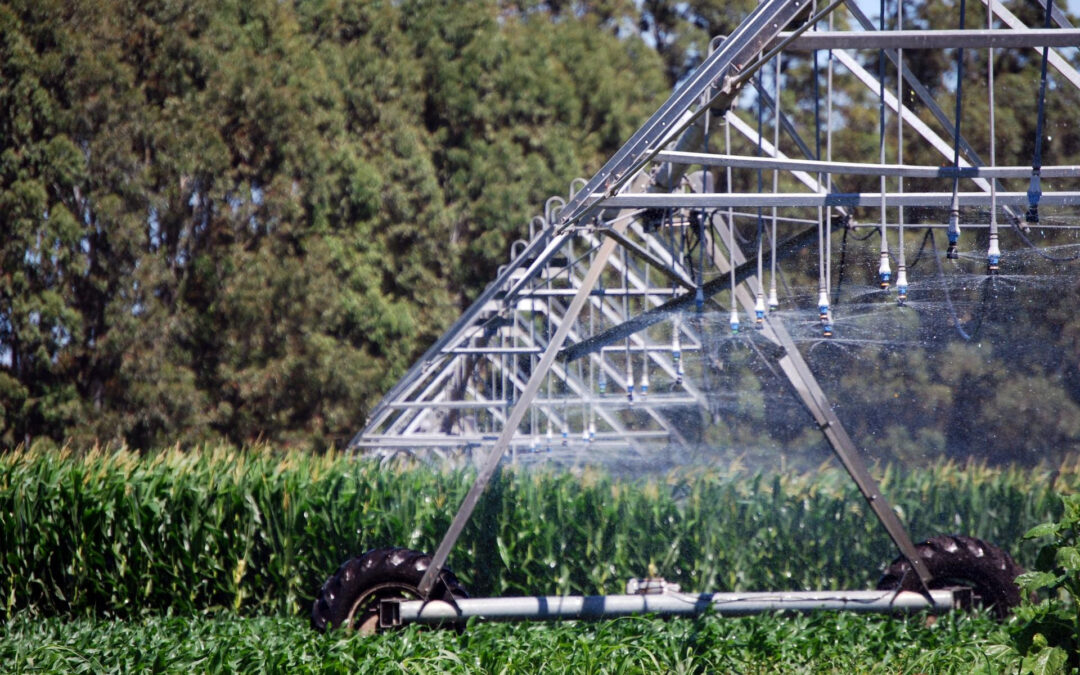 Según el Gobierno, el RIMI marca nuevas oportunidades para las Inversiones Agroindustriales