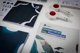 “El mar en la ciudad”: miles de personas participaron de una jornada para acercar el Mar Patagónico a Buenos Aires