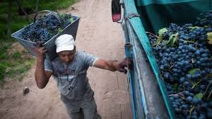 Paritaria vitivinícola: FOEVA rompe la negociación y convoca a un paro para este 6 de marzo