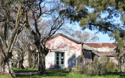 La pulpería que vio nacer a Tapalqué y hoy es la elegida de la provincia