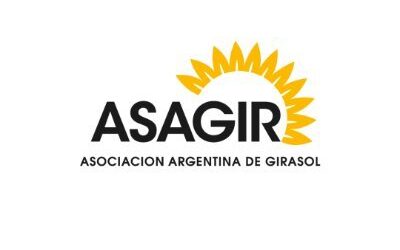 El USDA proyecta una producción récord de 7 millones de toneladas de girasoly Argentina escala posiciones en el mercado mundial