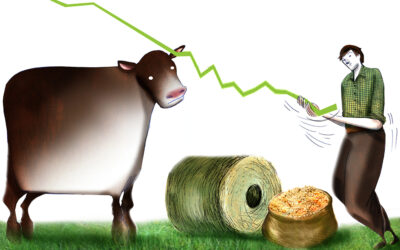 Nueva baja del stock argentino ¿Piso para una nueva etapa?