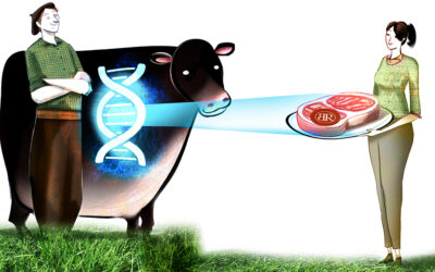 Cómo construir marmoreo en forma consistente