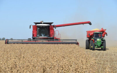 La actividad agroindustrial cayó levemente en marzo pero continuó por encima del nivel del año pasado