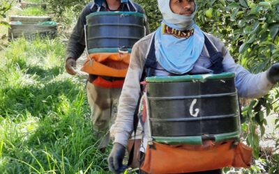 El RENATRE actualizó la Prestación por Desempleo y alcanza el monto máximo en $374.954