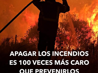 Prevenir hoy para no lamentar mañana: Fundación Vida Silvestre lanza una campaña para fortalecer la prevención de incendios forestales en Chubut