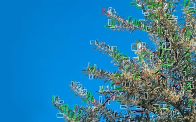 Inteligencia artificial: un científico argentino diseñó un robot único para controlar plagas